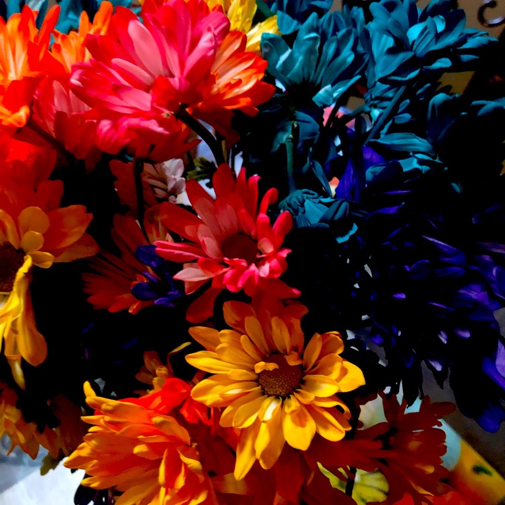 Meet your Posher, Liliana